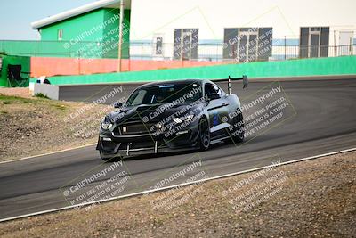 media/Feb-25-2024-Speed Ventures (Sun) [[b9a2a97a4d]]/Mustang Drivers Club/Session 1 (Turns 4 and 5)/